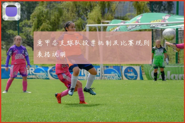 意甲各支球队投票机制及比赛规则表格说明