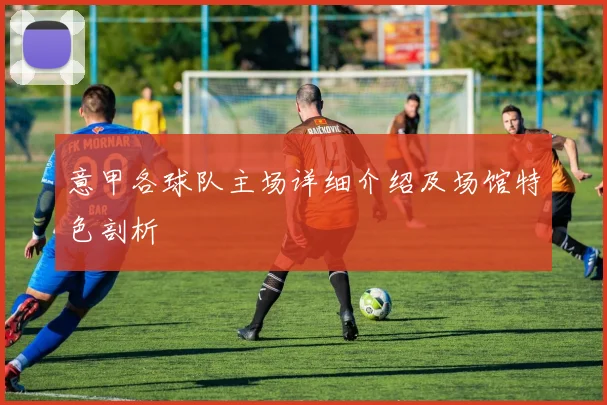 意甲各球队主场详细介绍及场馆特色剖析